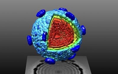 Computational Microscopy
