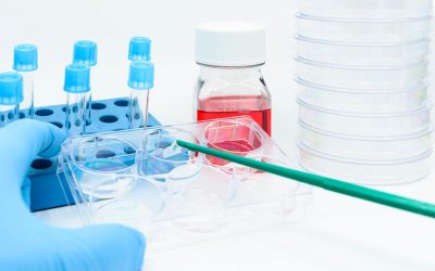 5 Recipes for Flow Cytometry Buffers