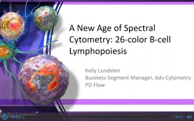 A New Age of Spectral Cytometry: 26-color B-cell Lymphopoiesis
