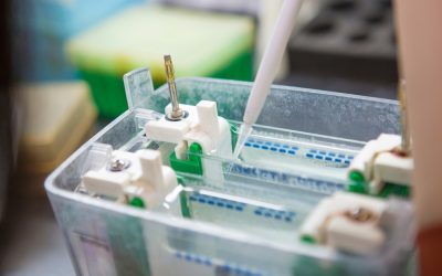 Tips to Optimize Your Fluorescent Western Blot Protocol