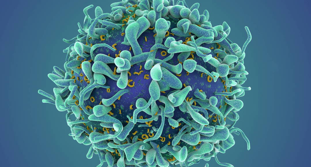 Cell Mimics In Cell Manufacturing Applications