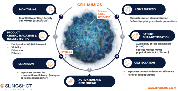 End-to-end applications of cell mimics across the cell therapy process.