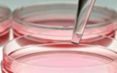 Newsletter: Flow Cytometry Analysis of Primary Cell Types: Moving Beyond Immortalized Cell Lines