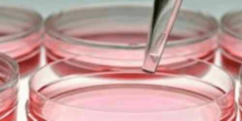 Flow Cytometry Analysis of Primary Cell Types