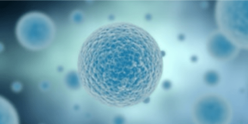 Image Flow Cytometry