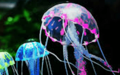 Newsletter: Fluorescent Protein Expression