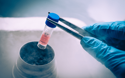 Preparing a Single-Cell Suspension for Flow Cytometry