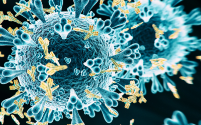 Newsletter: Reducing Background Signal with Recombinant Antibodies